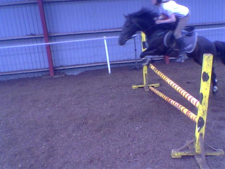 DSP Lady - 25/05-2007, mig og lady til træning ved Kurt kløverpris [x billede 7