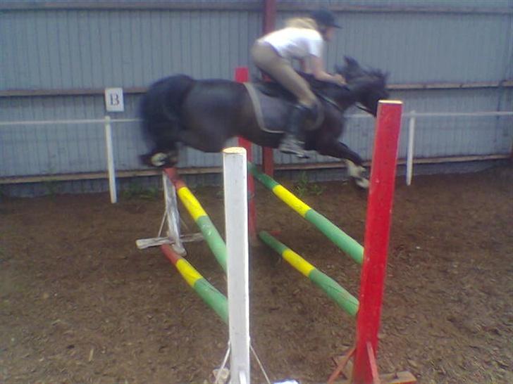 DSP Lady - Godt Lady <3 LA billede 8