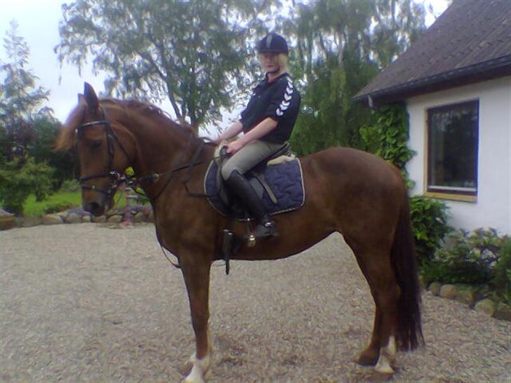 Frederiksborg Flicka - FLICKA & SUSANNE billede 2