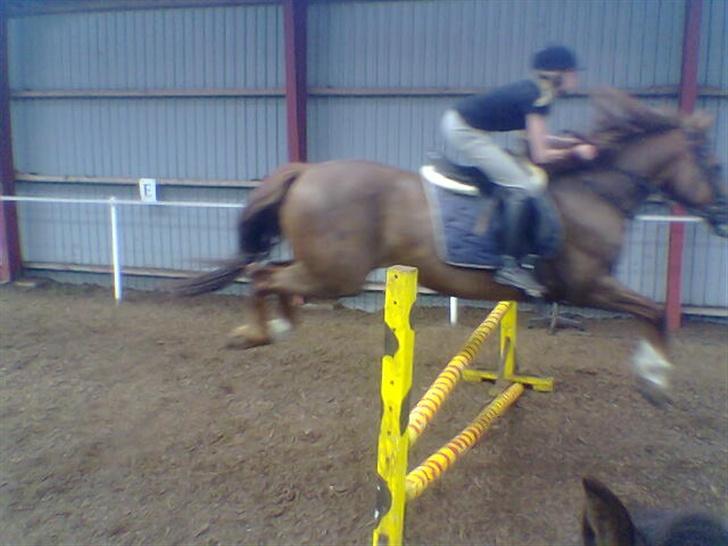 Frederiksborg Flicka - Flicka og susanne tager springet i stor stil xD billede 3