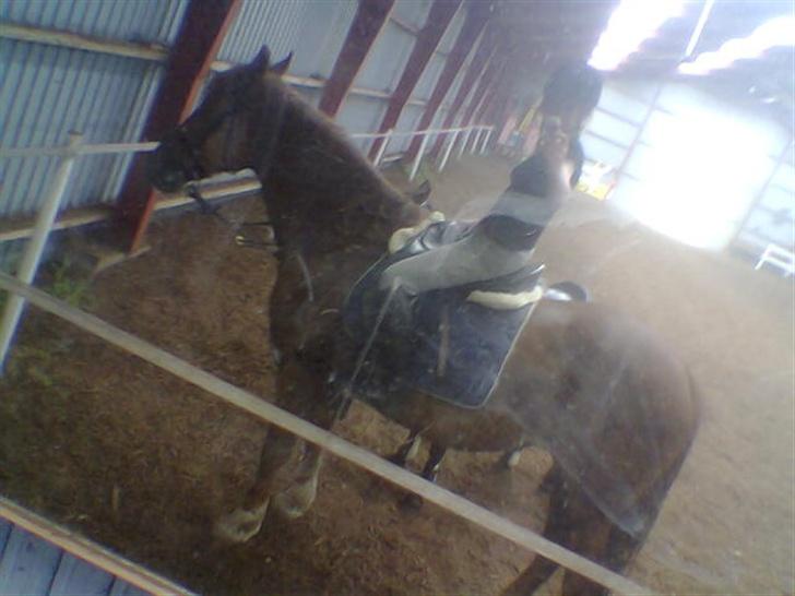 Frederiksborg Flicka - Snobberne, flicka og susanne tager total cool billede i spejlet xD billede 4