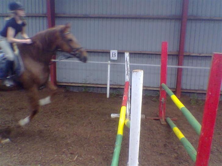 Frederiksborg Flicka - Flicka lige inden spring. billede 6