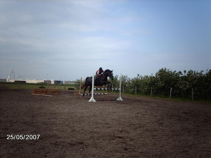 Dansk Varmblod Santos <3  - Santos og jeg . 25. maj 07 billede 2