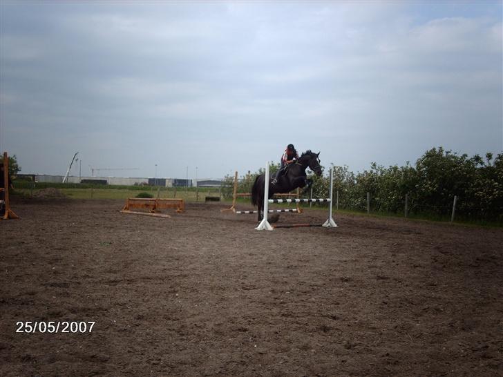 Dansk Varmblod Santos <3  - Santos og jeg . 25. maj 07 billede 3