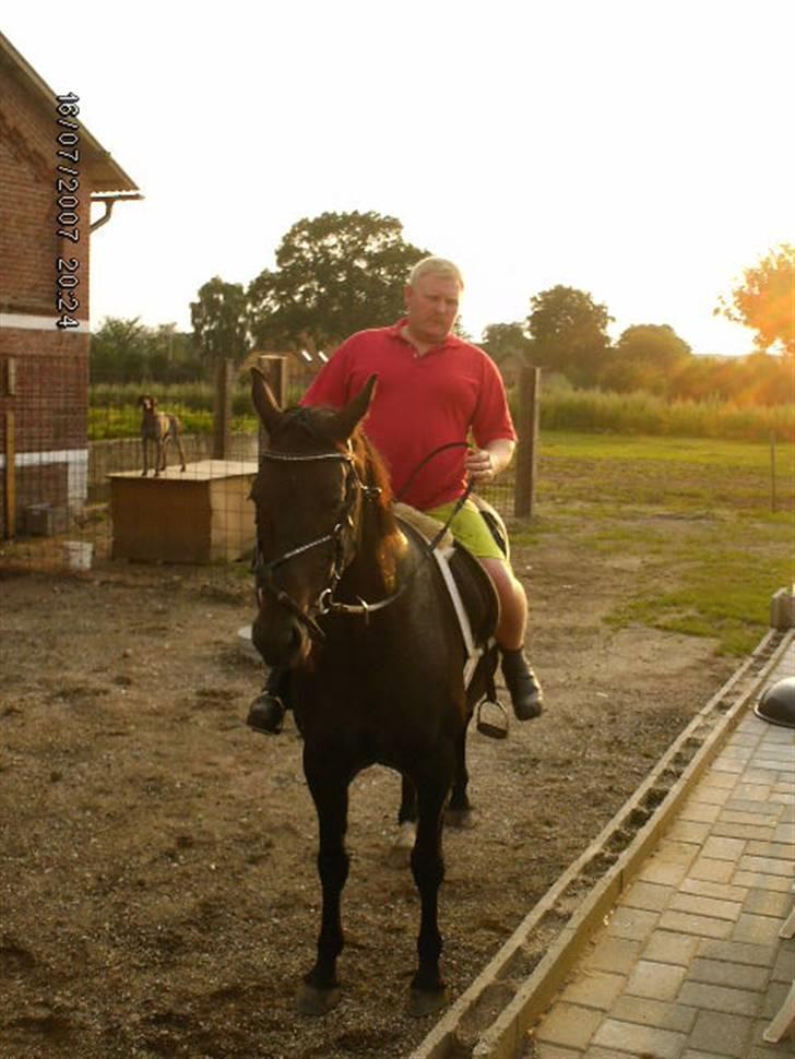 Anden særlig race Meiza - Miin papfar som ejer hende billede 8