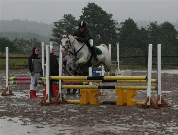 Anden særlig race Figaro (aflivet) - Spring klubmesterskab 07 - Han er en lille spring fjeder : ) billede 2