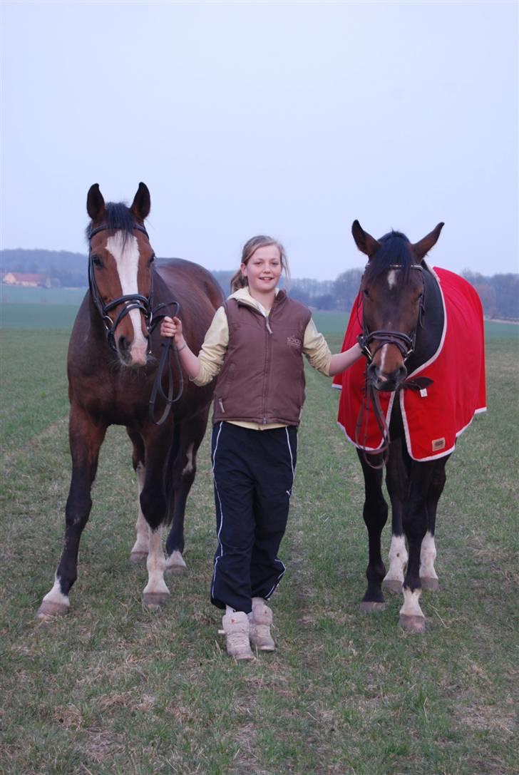 Dansk Varmblod Fabian 007 R.I.P - Det er min Mor´s hest! :b det er mig samme med James og Expense (:  billede 1