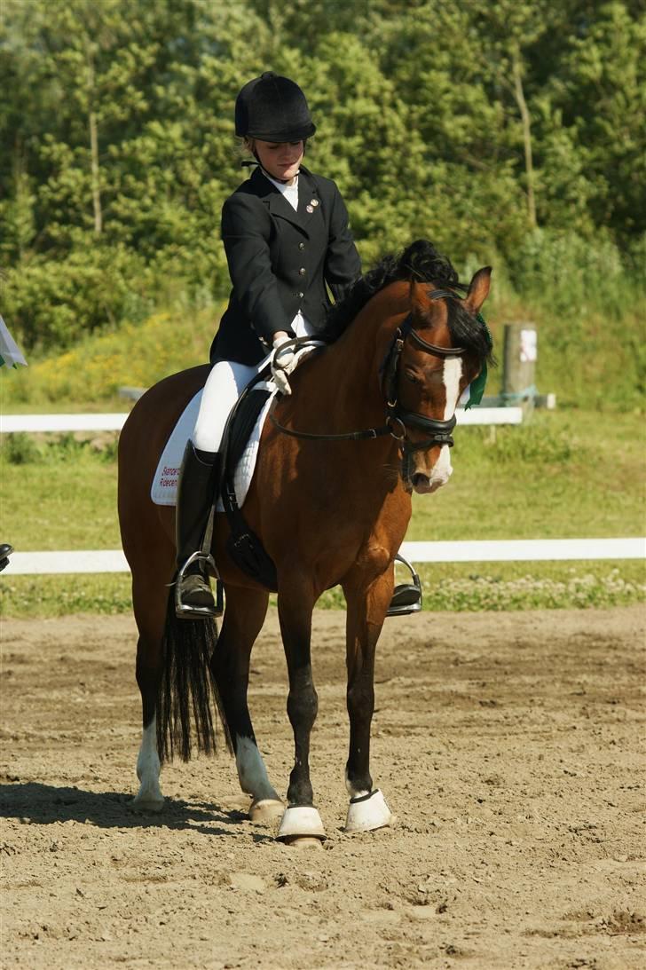 Hollandsk Sportspony Candy  - Jeg synes hun ser såså sød ud :) pramie overrækkelse, troede ikke vi skulle have noget, så havde flettet op :) <3 billede 16