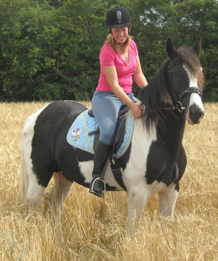 Irish Cob <3 Kaipo <3  - # 9. Vores første lange ridetur sammen.. Taget den 8 august 2010 billede 8