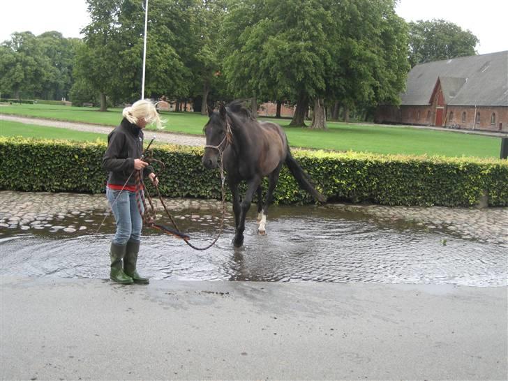 Traver Nikos <3 - Vandtræning ;) billede 1