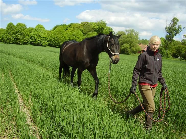 Traver Nikos <3 - Ude og gå tur. :) billede 3