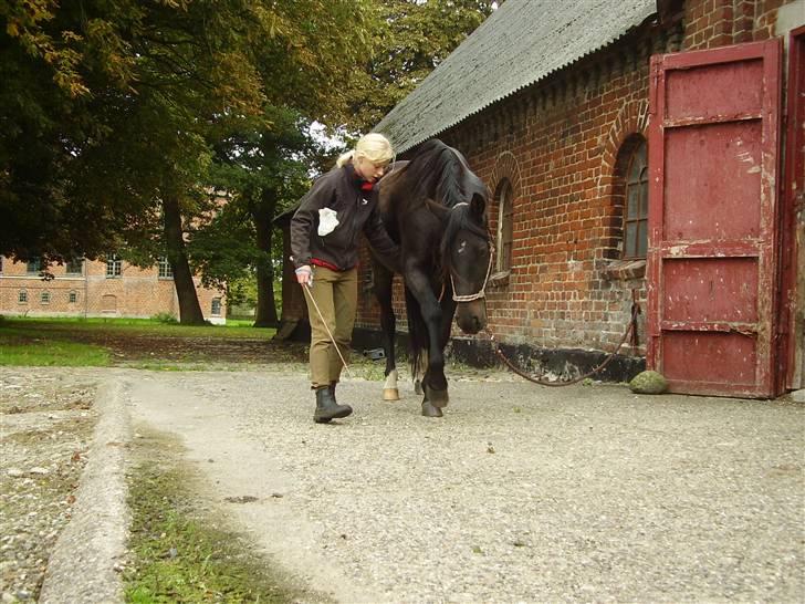 Traver Nikos <3 - Træning af spanske skridt ;) billede 4