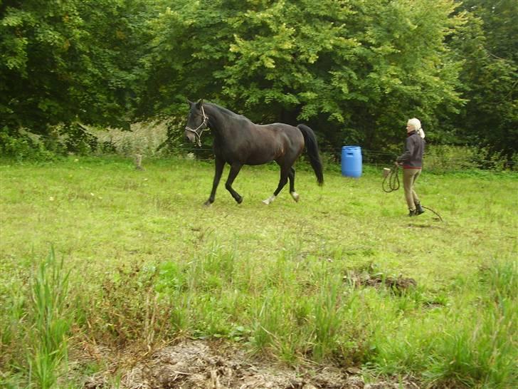 Traver Nikos <3 billede 5