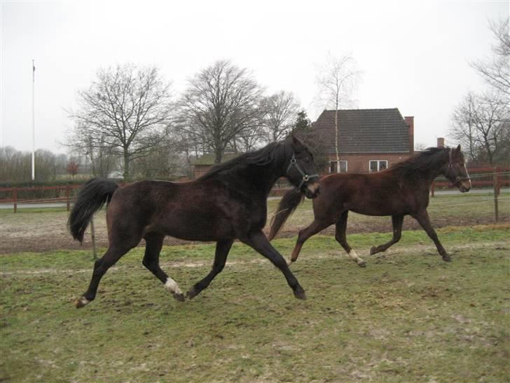 Traver Nikos <3 billede 7