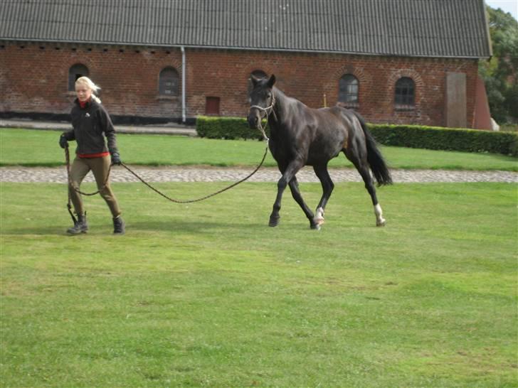 Traver Nikos <3 billede 8