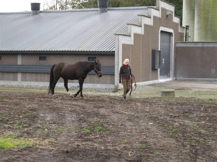 Traver Nikos <3 - Træning i det fri uden et tov i ham :D Så han kunne bare være løbet væk ^^ billede 10