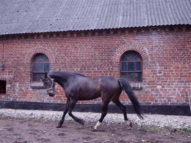 Traver Nikos <3 billede 11