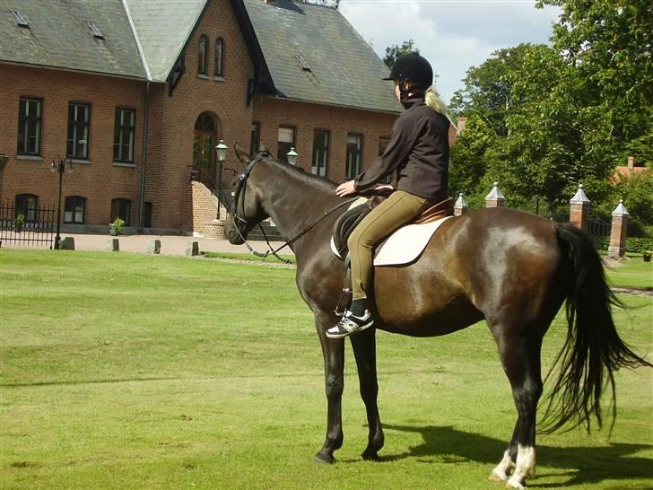 Traver Nikos <3 - Afslappet? Gad vide hvad vi mon kigger på ;D billede 12