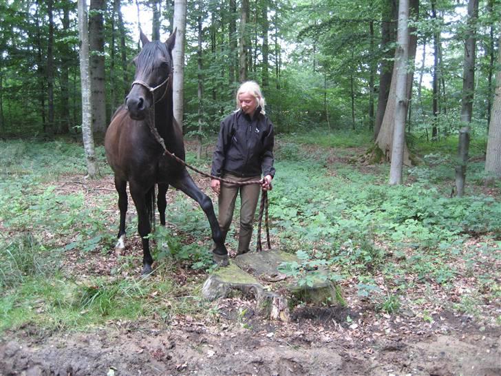 Traver Nikos <3 - På tur, prøver at få hans ben op på stubben, men det lykkedes kun med det ene. billede 13