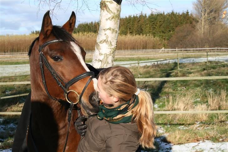 Anden særlig race Sir Hamilton - Tak fordi i kiggede med (:  billede 20