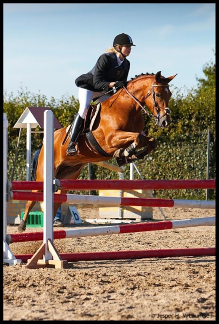 Anden særlig race Zarahby - ZARAHBY ELSKER DET billede 4