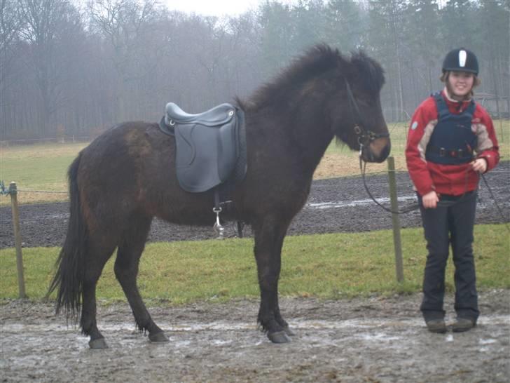 Islænder Ási fra Strøbjerg - Vi har lige været ude og ride ;D - 5 ridetur[taget af mor] billede 17