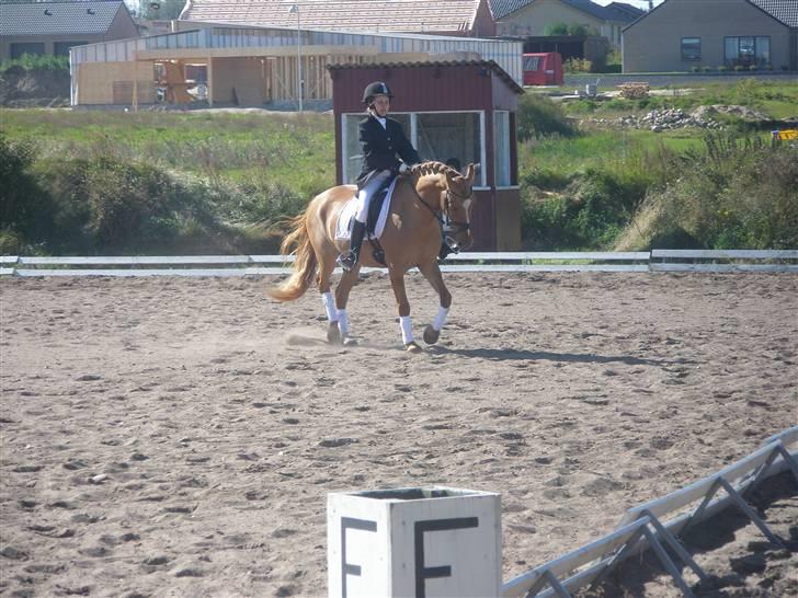 Anden særlig race Copperfield - Nibe Cup 2007, Nr. 4 i Trøste Finalen. billede 15