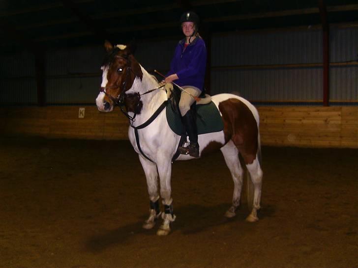 Pinto Ronjas galant - venter på det er hyppen og min tur til at springe <3 billede 13