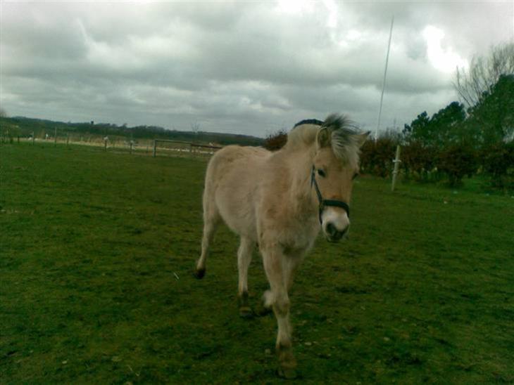 {{currentPhoto.altText}} billede {{currentPhoto.number}}