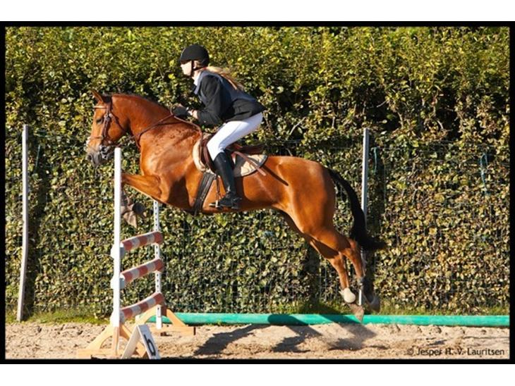 {{currentPhoto.altText}} billede {{currentPhoto.number}}