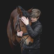 Dansk Varmblod Carrington