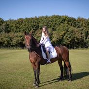 Anden særlig race Di'dande