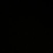 Welsh Mountain (sec A) Pony