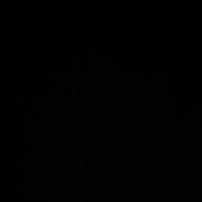 Welsh Mountain (sec A) Pony