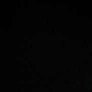 Welsh Mountain (sec A) Pony