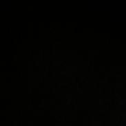 Welsh Mountain (sec A) Pony