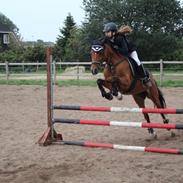 DSP Tovdal's indian sunrise