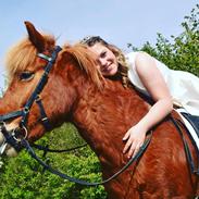 Islænder Æsa fra michaelsminde