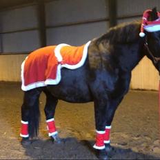 Oldenborg Vibegaardens comet