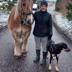 Jyde Mosegaardens Theo 