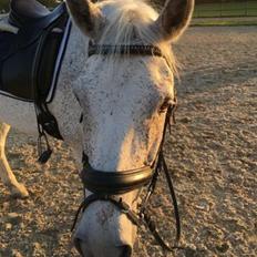 Connemara Killea Cove