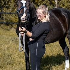 Anden særlig race Frk. Smilla 