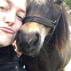 Miniature Alamos buckaroo charmer