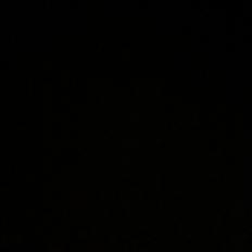 Welsh Mountain (sec A) Pony