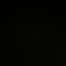 Welsh Mountain (sec A) Pony