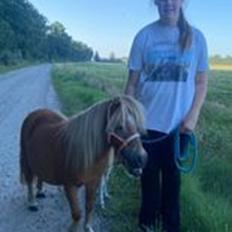 Shetlænder Mischa Van Florisland