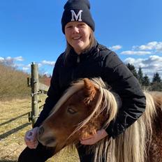 Shetlænder Birkelund,s Como