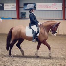 Frederiksborg Nytoftgaards Delia