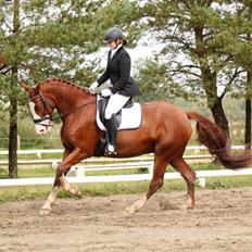 Frederiksborg Nytoftgaards Delia