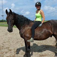 Anden særlig race Vidar